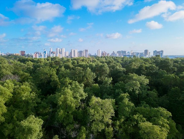 Confrontations Légendaires dans l'Univers du Rap : Histoires et Enjeux